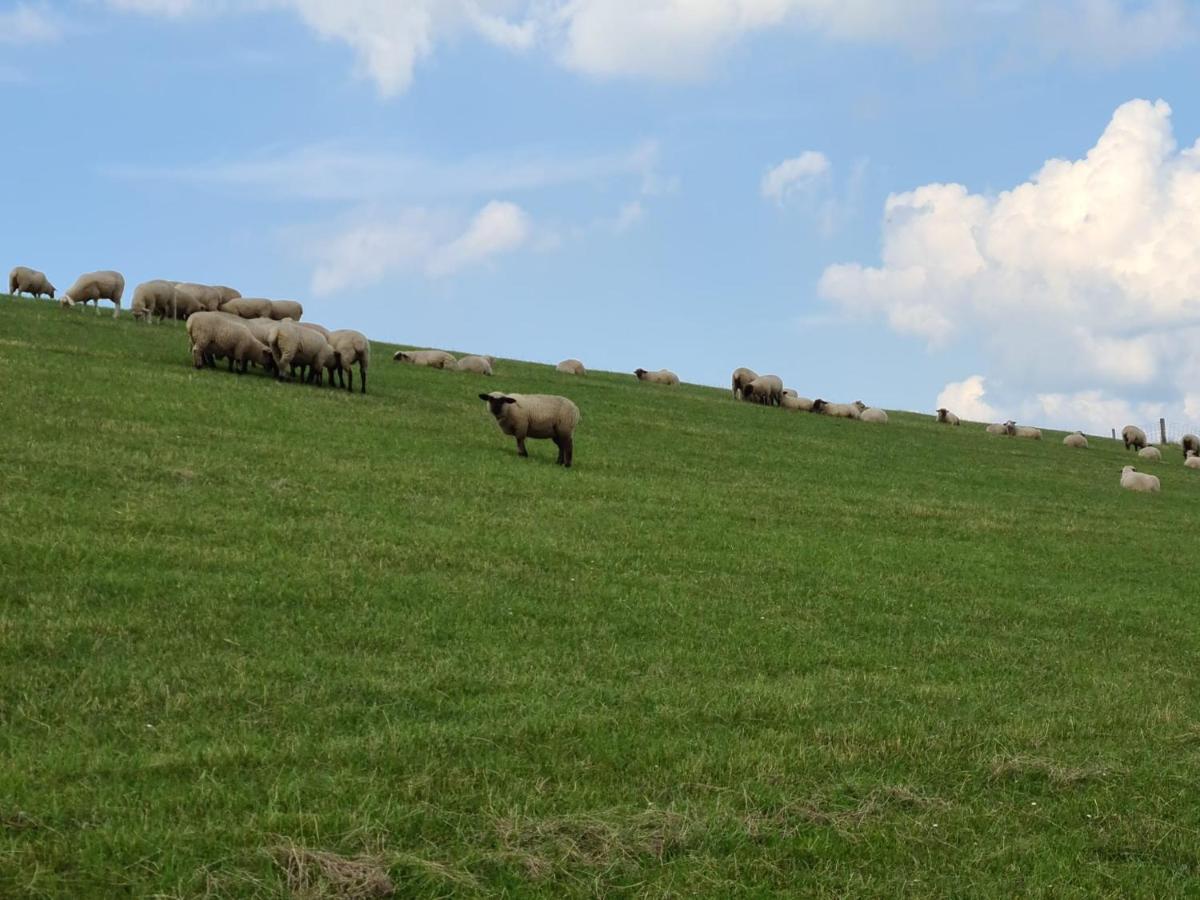 Schweiburg Watt'N Blick - Hundefreundliches Ferienhaus Mit Ausblick Ueber Die Wiesen Bis Zum Deich מראה חיצוני תמונה